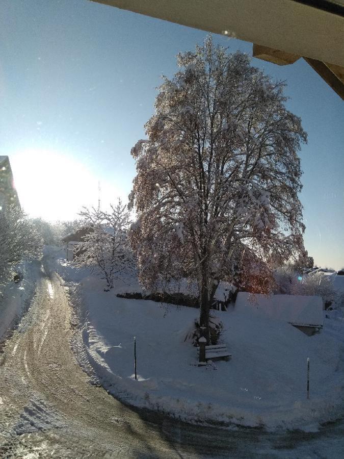 Ferienwohnung Pietzavka Wiesenfelden Dış mekan fotoğraf